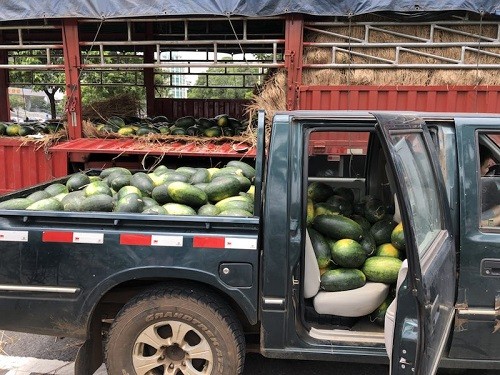 行善最樂，端午之際赫茲曼電力扶貧獻愛心