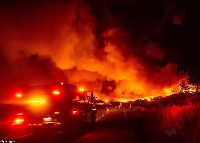 電氣事故引發加州山火，據說這個裝置可以避免事故發生！